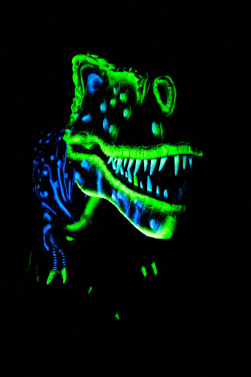 Švytinčių dinozaurų magija Radailiuose.