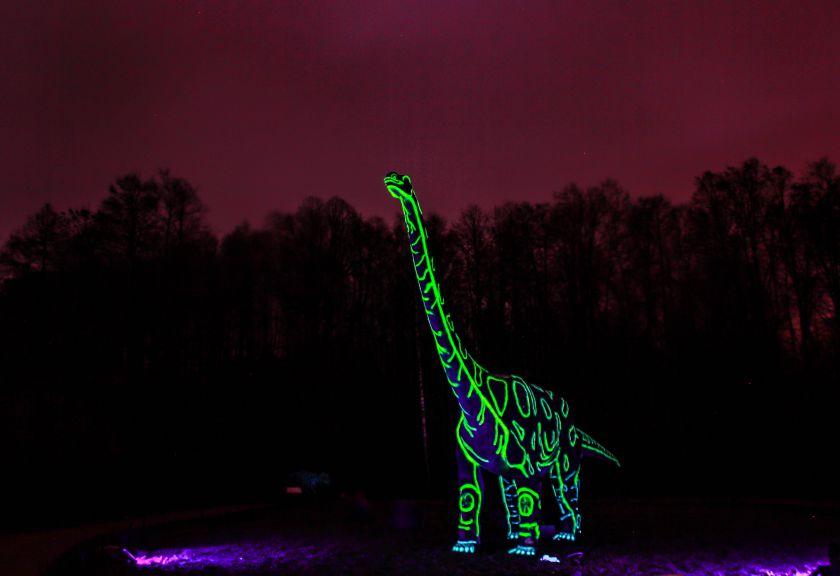 Švytinčių dinozaurų magija Radailiuose.