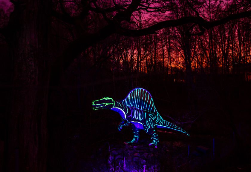 Švytinčių dinozaurų magija Radailiuose.