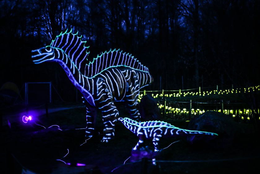 Švytinčių dinozaurų magija Radailiuose.