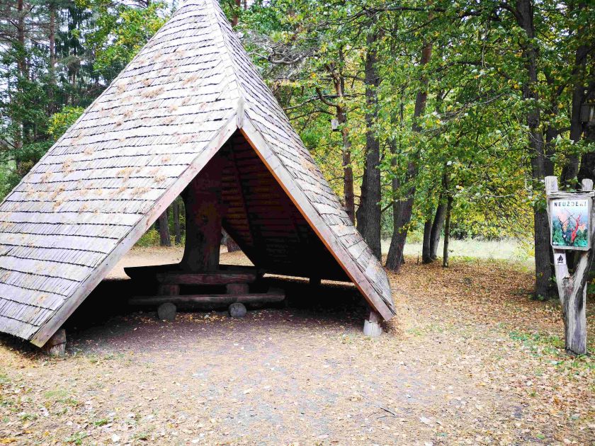 
                    Miškininkai rekomenduoja aplankyti Aukštaitiją: senųjų girių didybė ir išskirtiniai atradimai gamtoje                