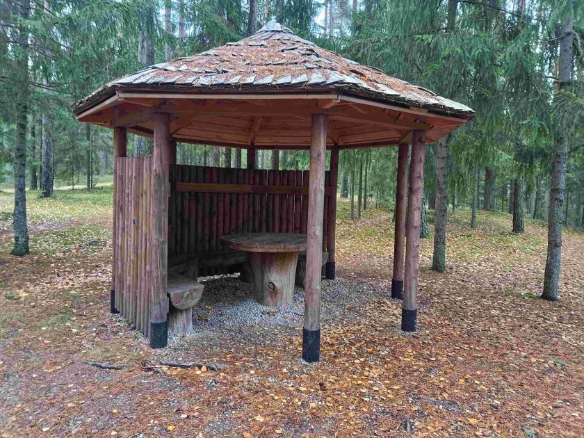 
                    Miškininkai rekomenduoja aplankyti Aukštaitiją: senųjų girių didybė ir išskirtiniai atradimai gamtoje                