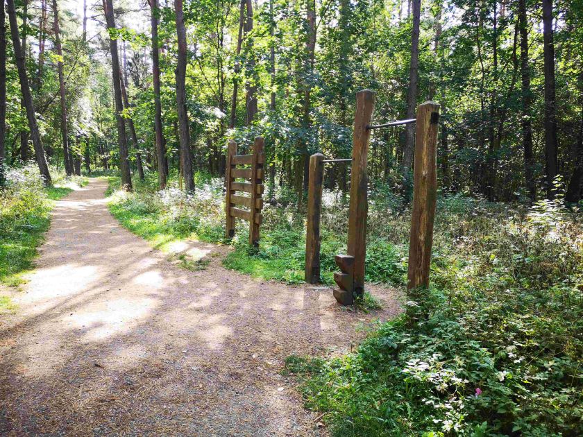 
                    Miškininkai rekomenduoja aplankyti Aukštaitiją: senųjų girių didybė ir išskirtiniai atradimai gamtoje                