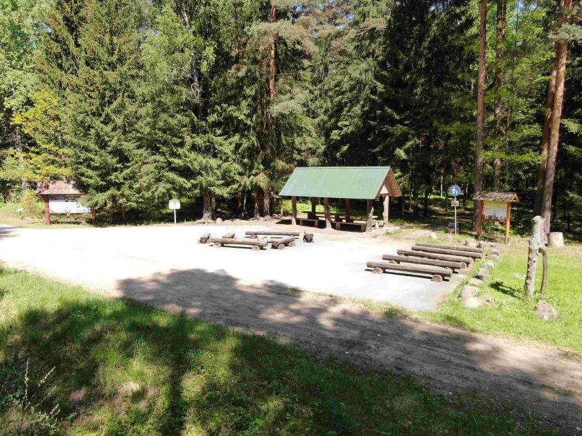 
                    Miškininkai rekomenduoja aplankyti Aukštaitiją: senųjų girių didybė ir išskirtiniai atradimai gamtoje                