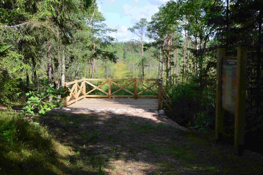 
                    Miškininkai rekomenduoja aplankyti Aukštaitiją: senųjų girių didybė ir išskirtiniai atradimai gamtoje                